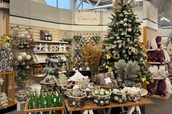 Haskins Garden Centre Ferndown