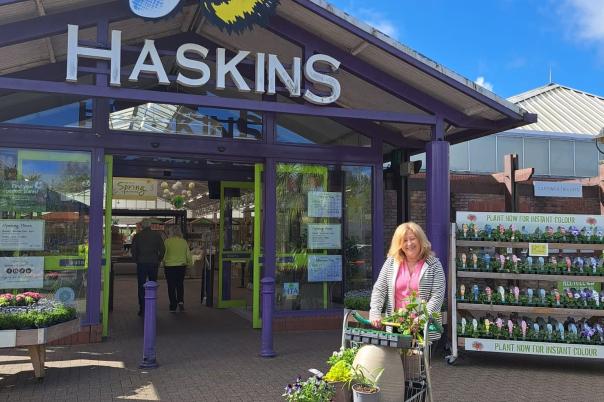 Haskins Garden Centre Ferndown