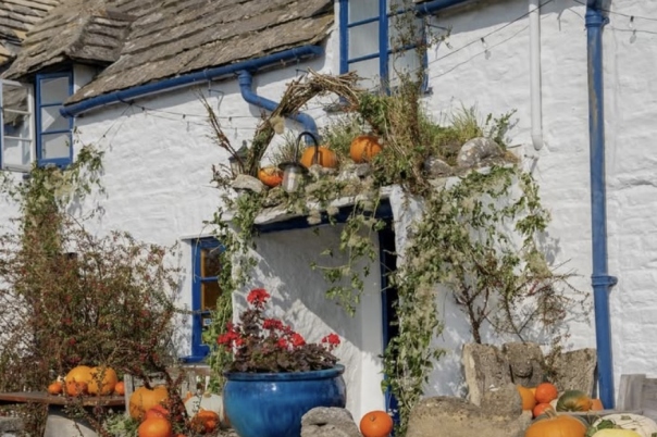 Pubs with Unique Charm in Dorset