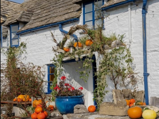 Pubs with Unique Charm in Dorset