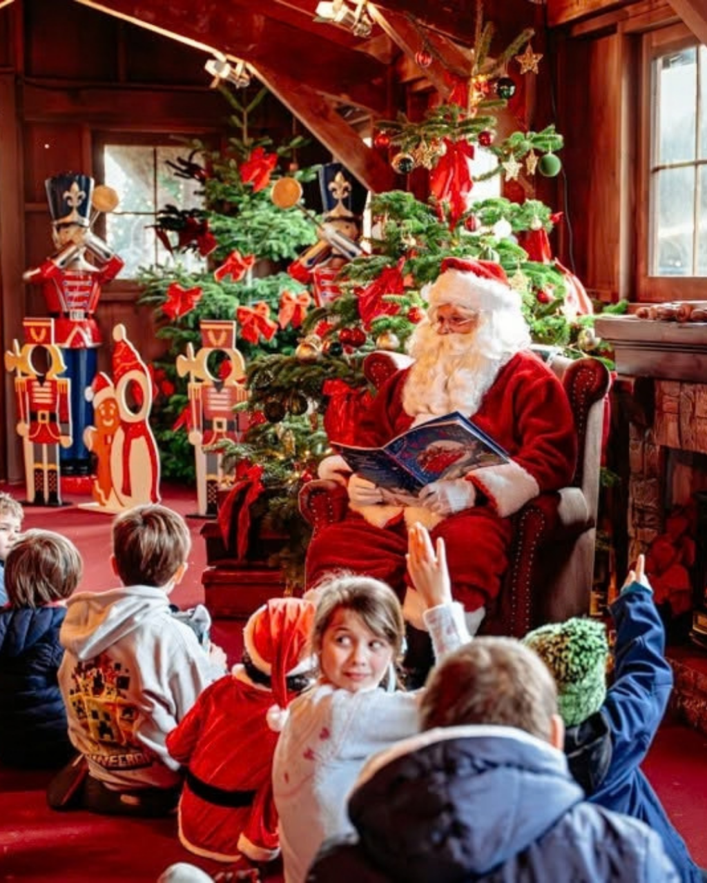 Christmas Tree Wonderland Bournemouth 2026 | 13 November–4 January