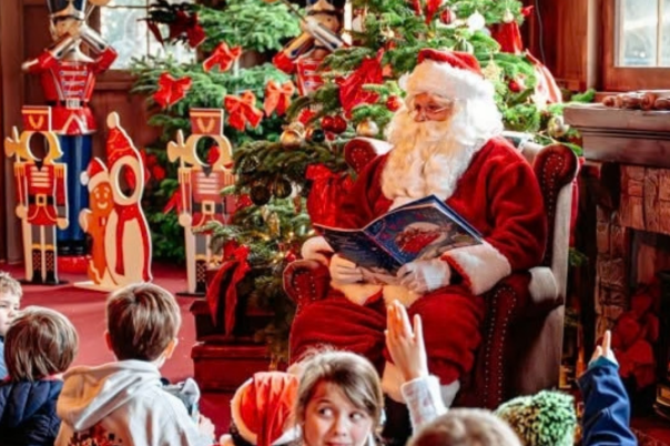 Christmas Tree Wonderland Bournemouth 2026 | 13 November–4 January