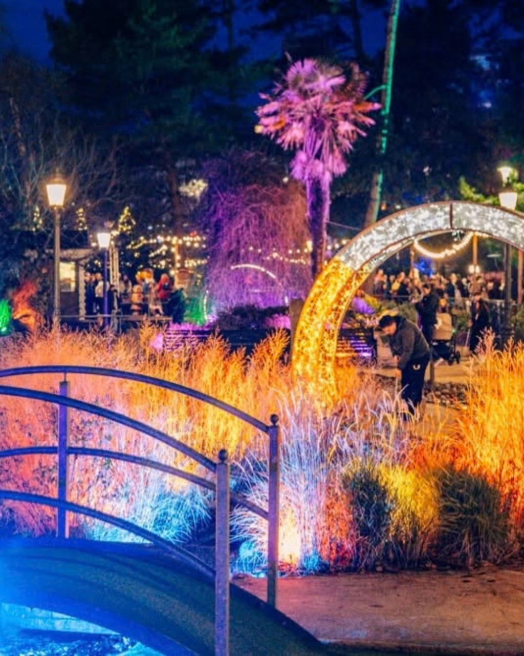 Christmas Tree Wonderland Bournemouth 2026 | 13 November–4 January