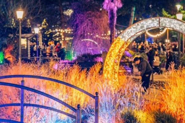 Christmas Tree Wonderland Bournemouth 2026 | 13 November–4 January