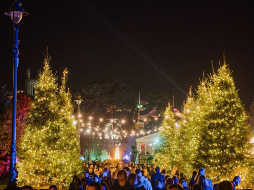 Christmas Tree Wonderland Bournemouth 2026 | 12 November 2026 - 3 January 2027