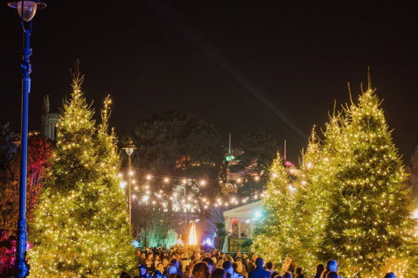 Christmas Tree Wonderland Bournemouth 2026 | 13 November–4 January