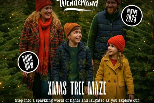 Christmas Tree Wonderland Bournemouth