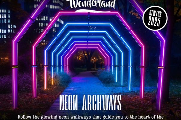 Christmas Tree Wonderland Bournemouth