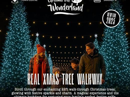 Christmas Tree Wonderland Bournemouth