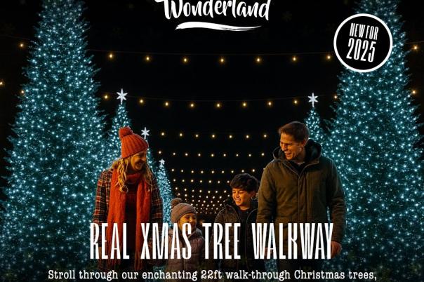 Christmas Tree Wonderland Bournemouth