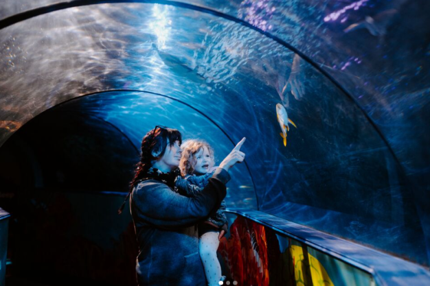 I Visited Weymouth SEA LIFE Adventure Park - Here's Why You Should Too