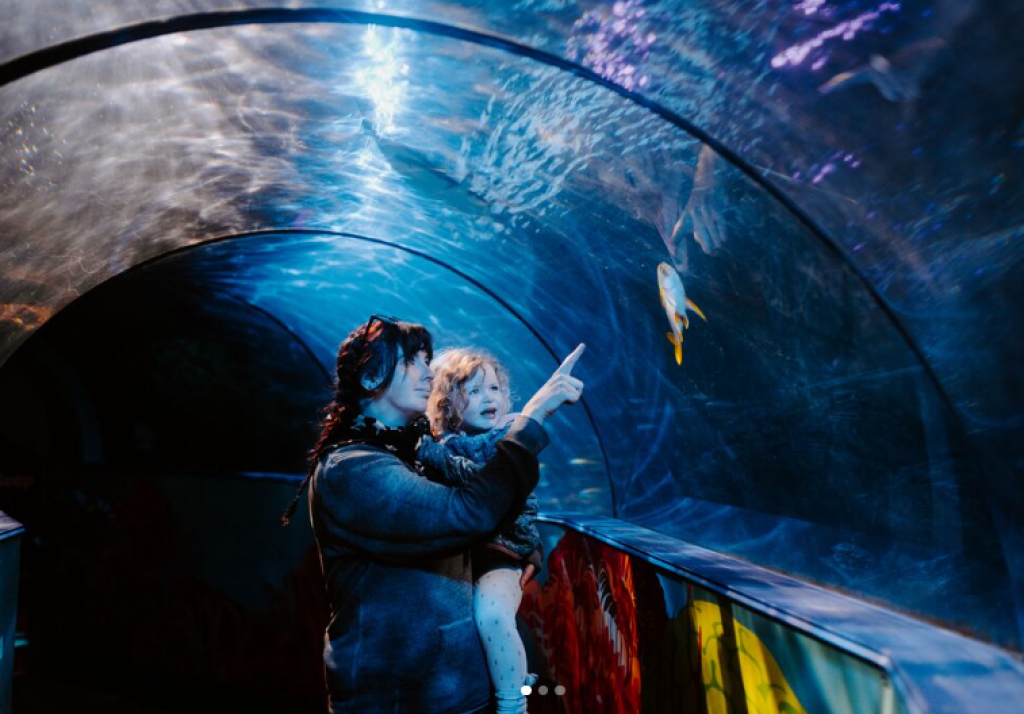 I Visited Weymouth SEA LIFE Adventure Park - Here's Why You Should Too