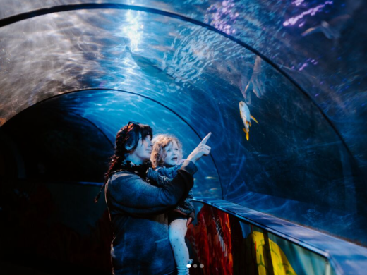 I Visited Weymouth SEA LIFE Adventure Park - Here's Why You Should Too