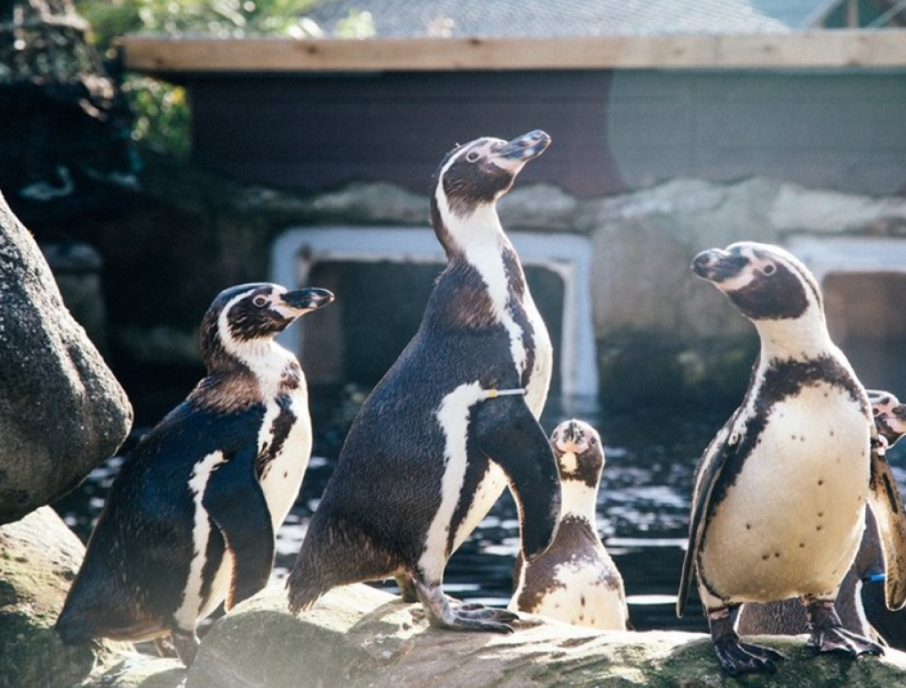 I Visited Weymouth SEA LIFE Adventure Park - Here's Why You Should Too