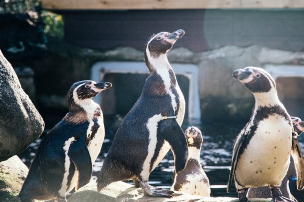 I Visited Weymouth SEA LIFE Adventure Park - Here's Why You Should Too