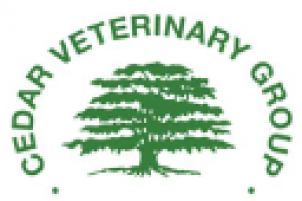 Cedar Veterinary Group Verwood - Dorset Vets