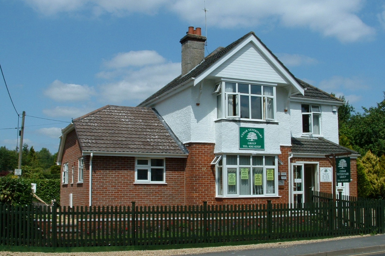 Cedar Veterinary Group Verwood - Dorset Vets