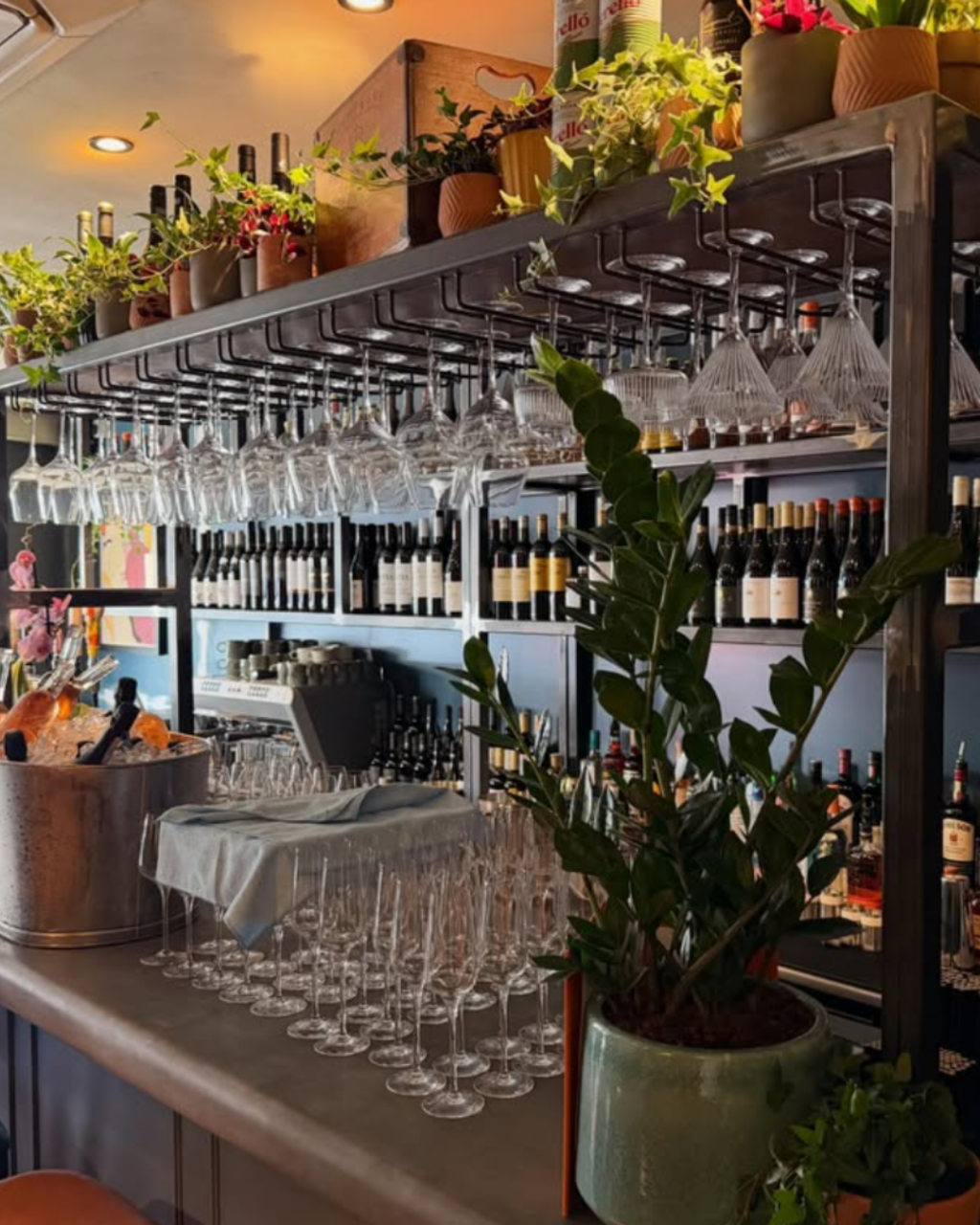 Westbourne’s New Arrivals in 2026: Fresh Ways to Eat, Meet and Explore