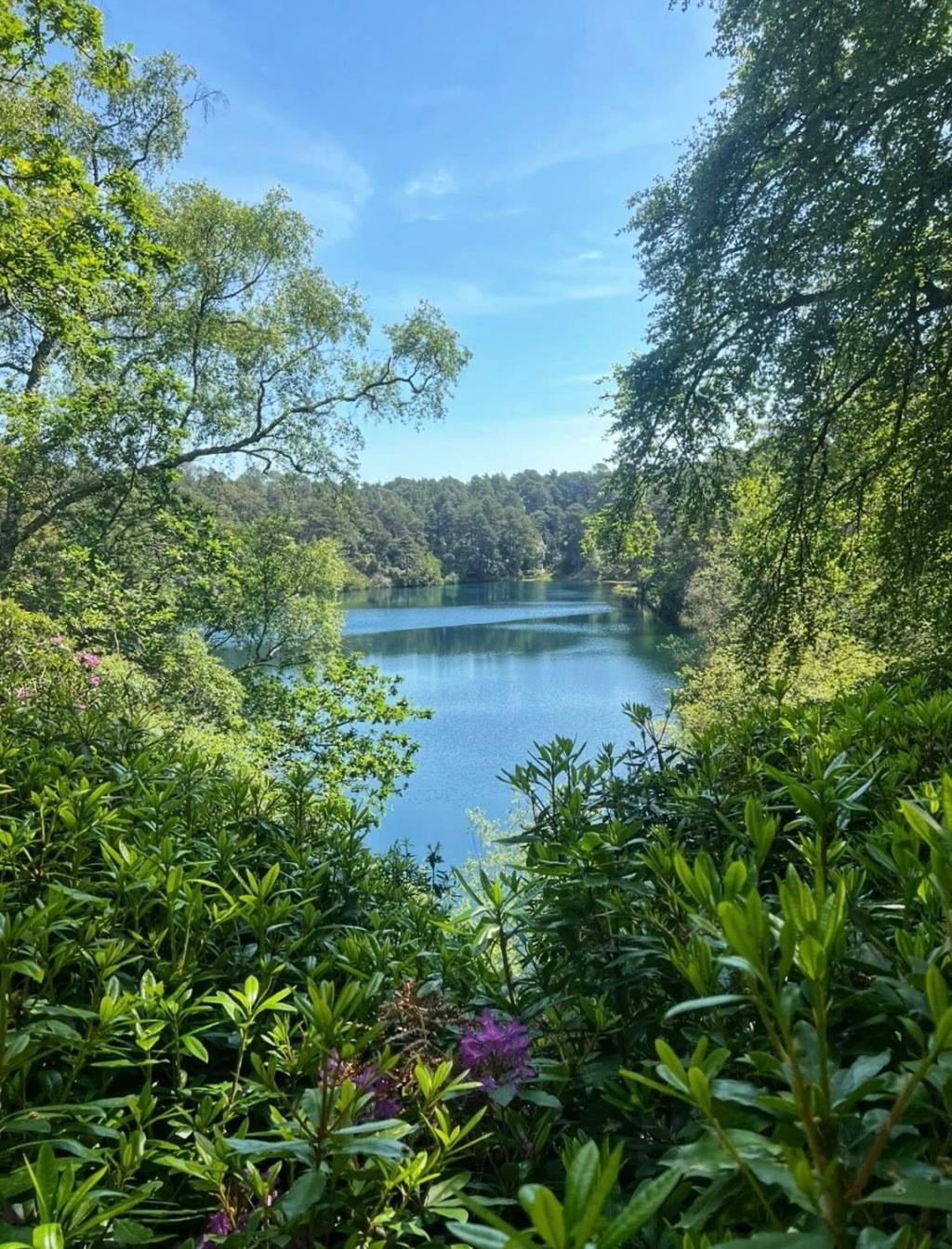 The Blue Pool Nature Reserve and the Famous Colour-Changing Lake