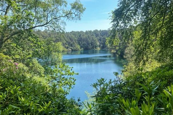 The Blue Pool Nature Reserve and the Famous Colour-Changing Lake