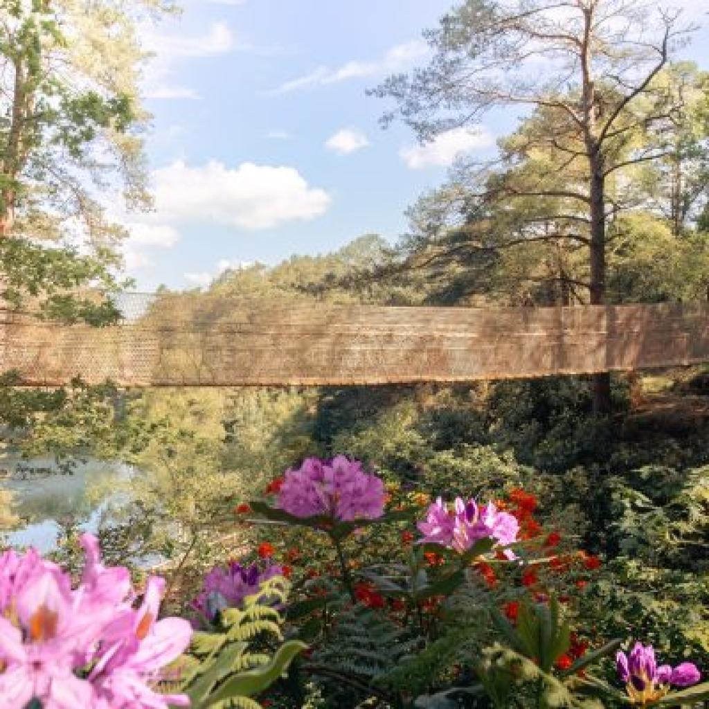 The Blue Pool Nature Reserve and the Famous Colour-Changing Lake