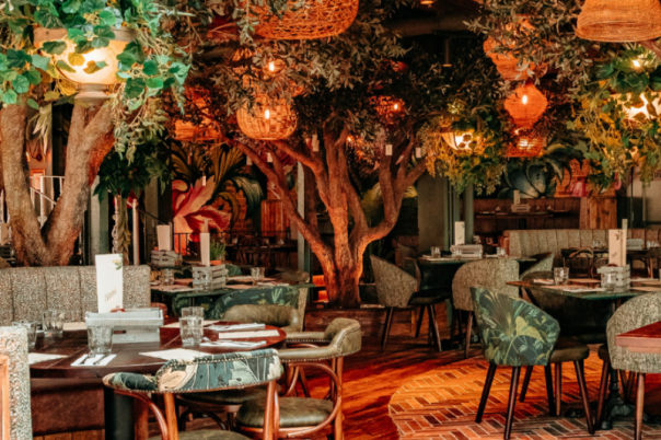 How Bournemouth’s Restaurant Scene Is Changing and Why Dining Out Is Becoming More of an Experience