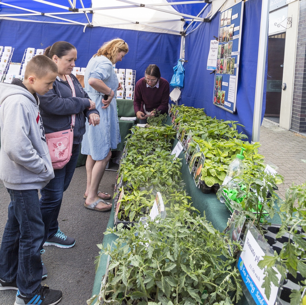 Highcliffe Food & Arts Festival - June 2025