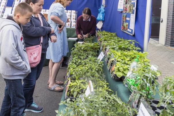 Highcliffe Food & Arts Festival - June 2025