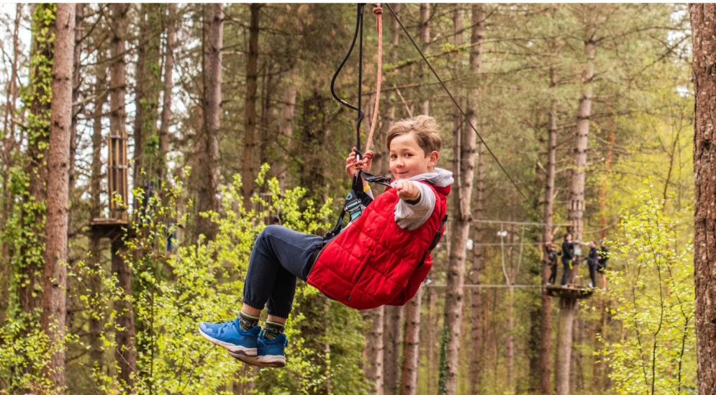 We Went for a Walk... and Ended Up Spending the Whole Day at Moors Valley