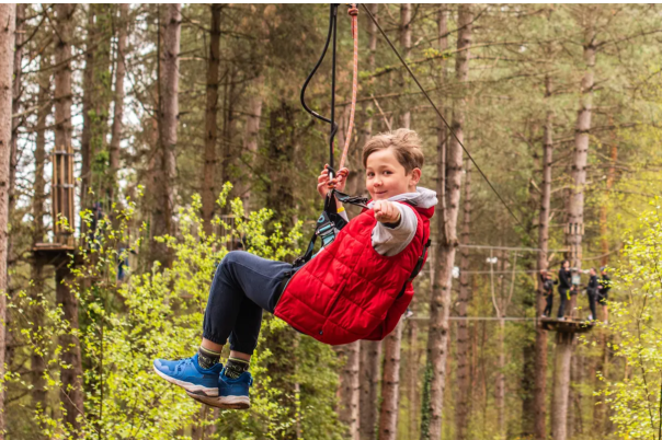 We Went for a Walk... and Ended Up Spending the Whole Day at Moors Valley