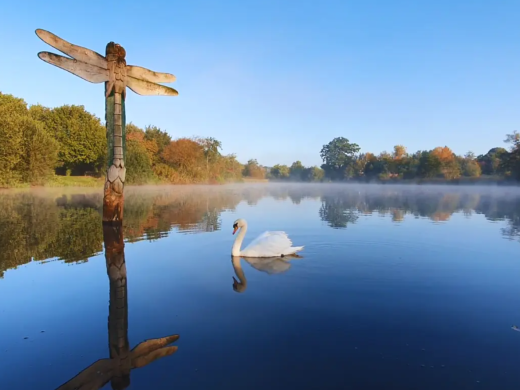 We Went for a Walk... and Ended Up Spending the Whole Day at Moors Valley