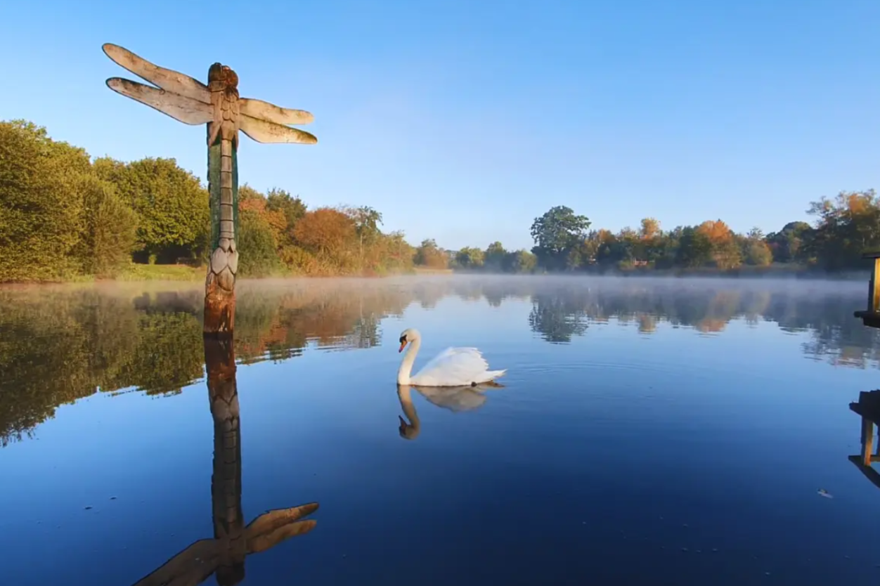 We Went for a Walk... and Ended Up Spending the Whole Day at Moors Valley