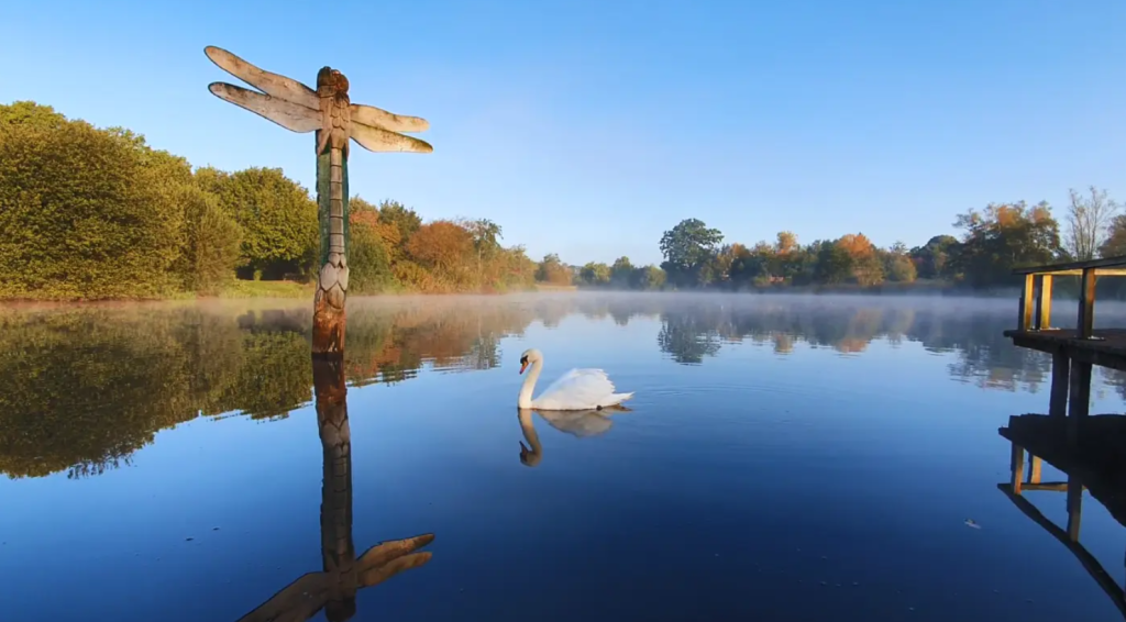 We Went for a Walk... and Ended Up Spending the Whole Day at Moors Valley