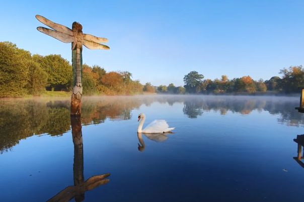 We Went for a Walk... and Ended Up Spending the Whole Day at Moors Valley