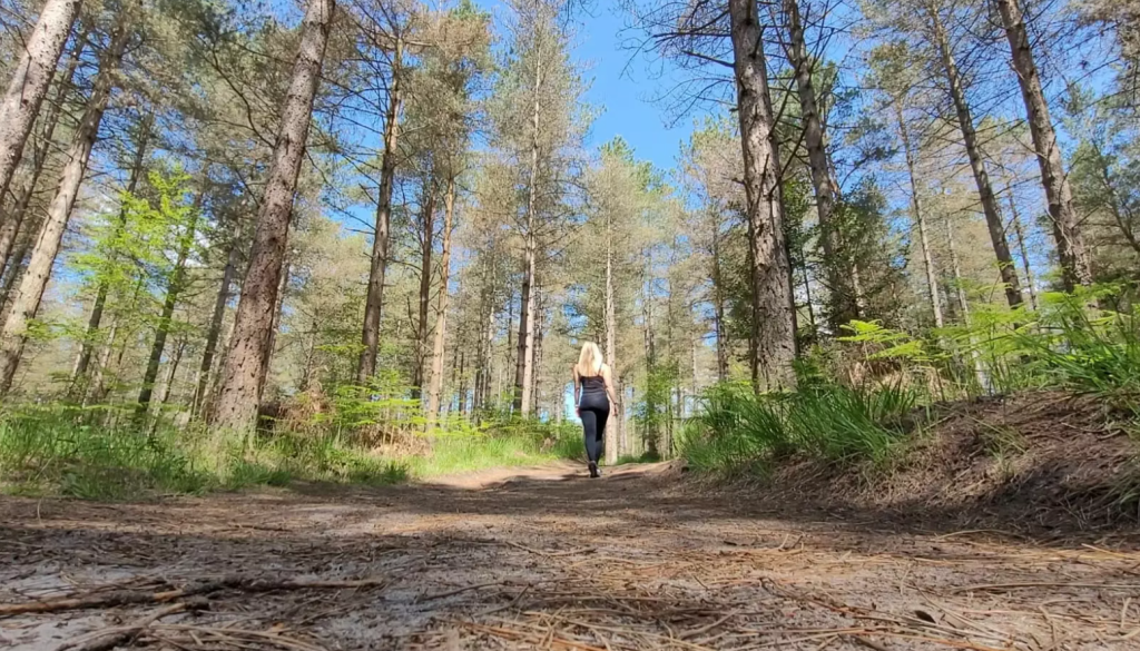 We Went for a Walk... and Ended Up Spending the Whole Day at Moors Valley