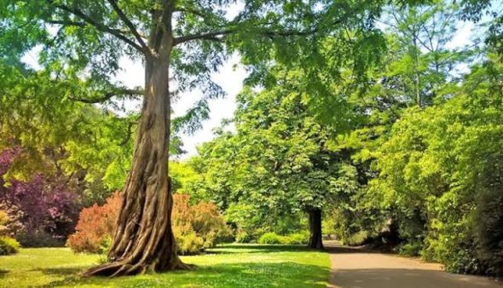Five Free Days Out Around Bournemouth