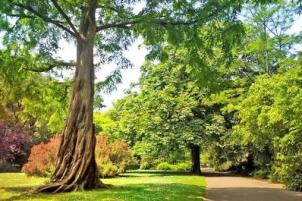 Five Free Days Out Around Bournemouth