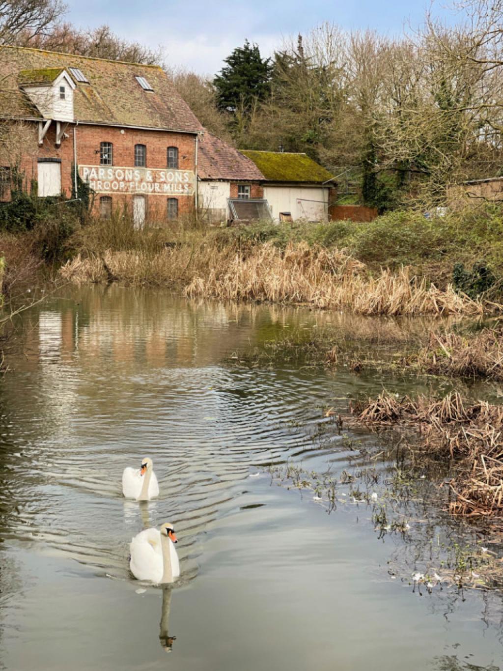Five Free Days Out Around Bournemouth
