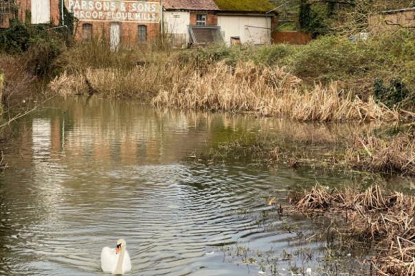 Five Free Days Out Around Bournemouth