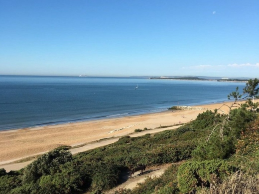 Highcliffe Beach Christchurch