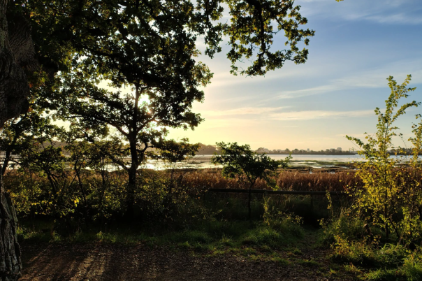 Why Upton Country Park Should Be on Your Dorset Bucket List
