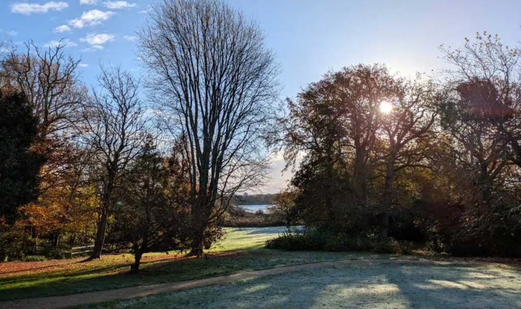 Why Upton Country Park Should Be on Your Dorset Bucket List