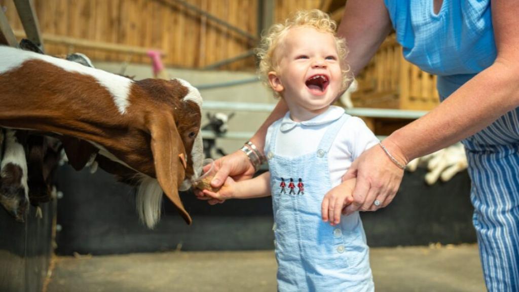 Exploring Farmer Palmer's - I Now Understand Why Kids Love This Dorset Farm Park