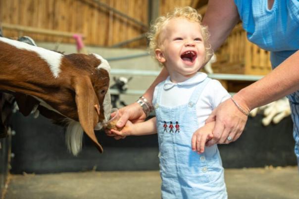 Exploring Farmer Palmer's - I Now Understand Why Kids Love This Dorset Farm Park