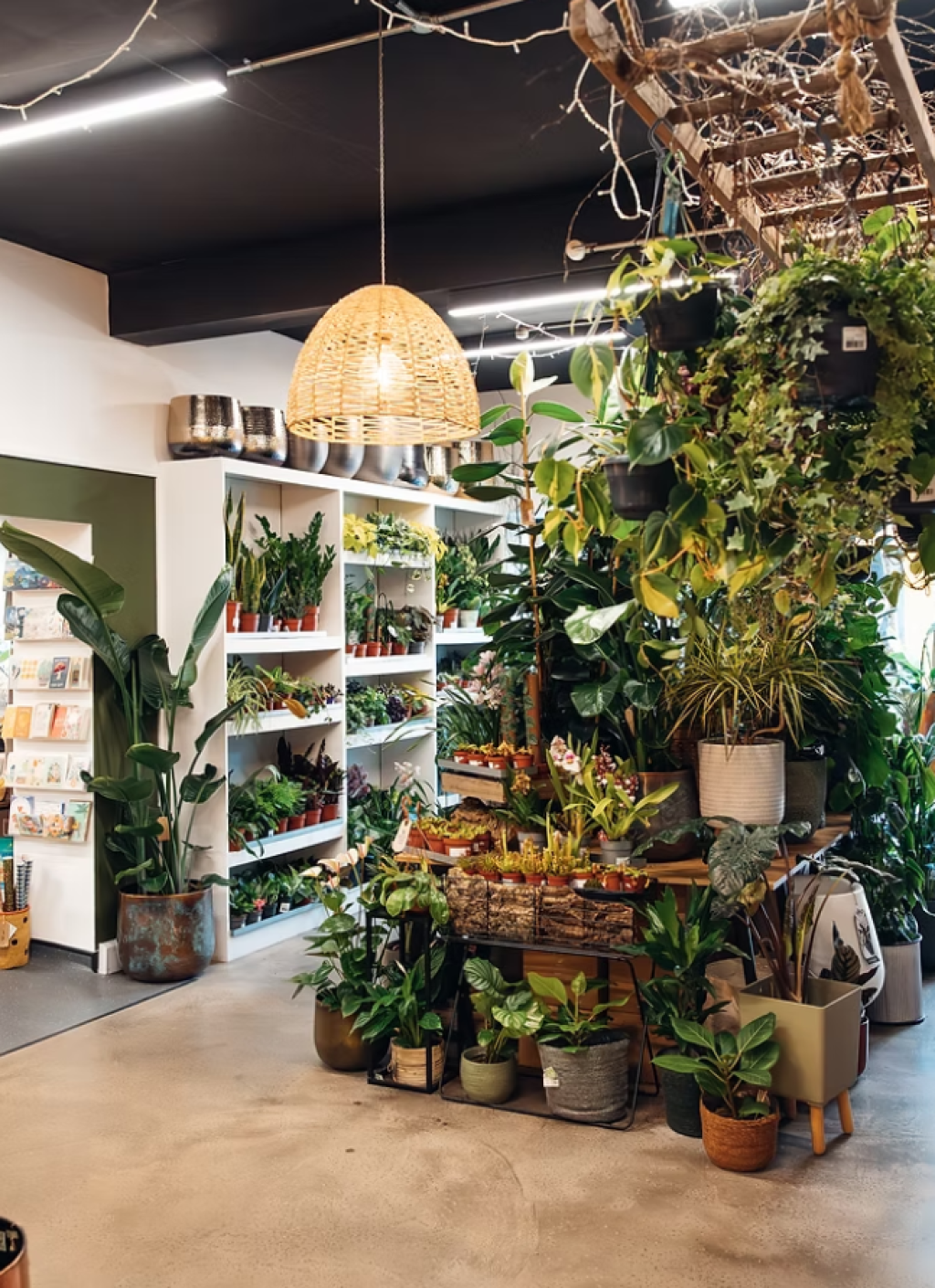 5 Independent Shops in Poole Worth Seeking Out