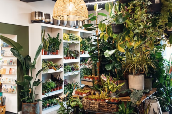 5 Independent Shops in Poole Worth Seeking Out