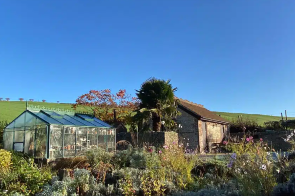 More Than Moving House: Why Local Knowledge Makes All the Difference