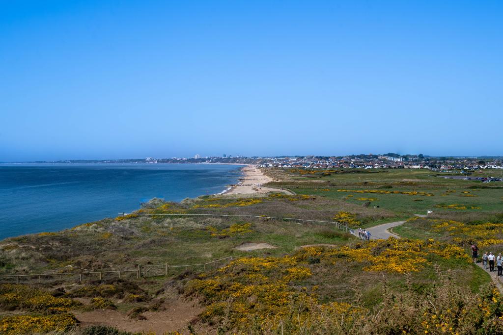 A Guide to Living in Southbourne: The Best Areas, Lifestyle and What to Expect