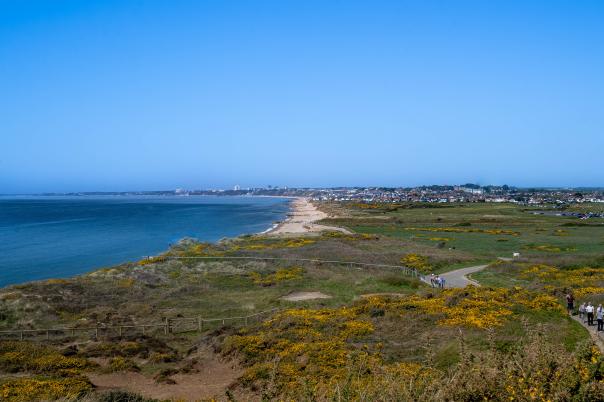A Guide to Living in Southbourne: The Best Areas, Lifestyle and What to Expect