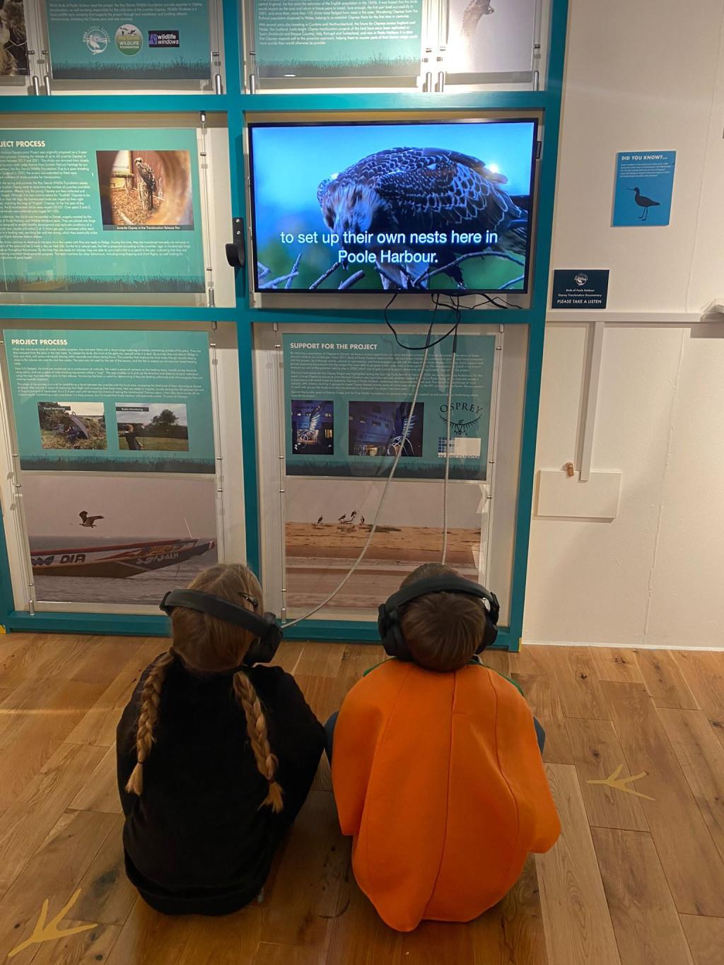 I Visited Poole Museum and Scaplen's Court - One of Dorset's Most Fascinating Hidden Gems